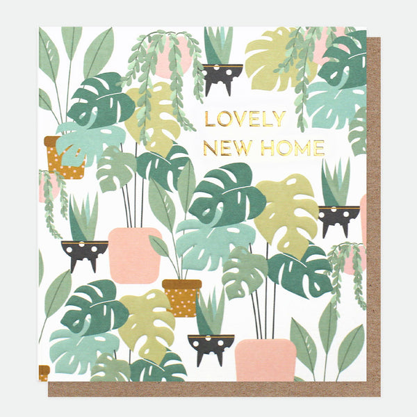Caroline Gardner - New Home Plants