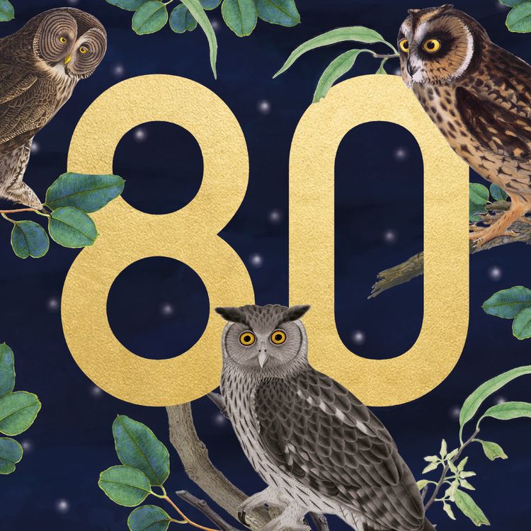 Museums and Galleries - 80th Owls
