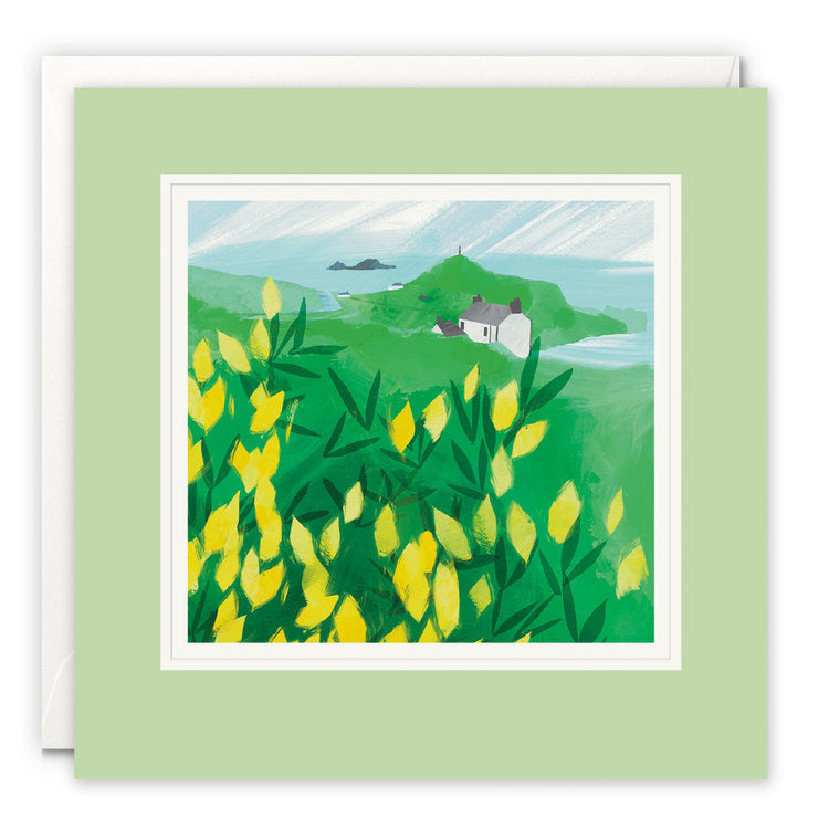 James Ellis - Golden Gorse Cape Cornwall
