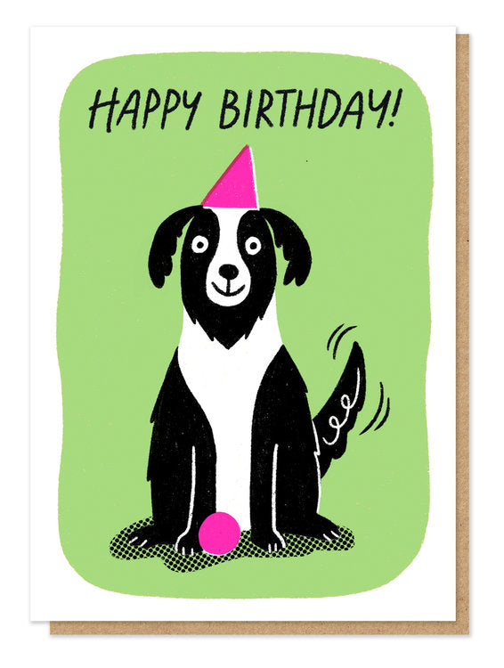 Stormy Knight - Happy Birthday Collie