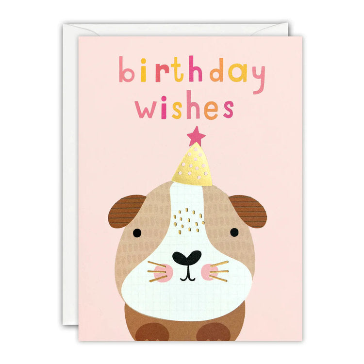James Ellis Stevens - Birthday Guinea Pig