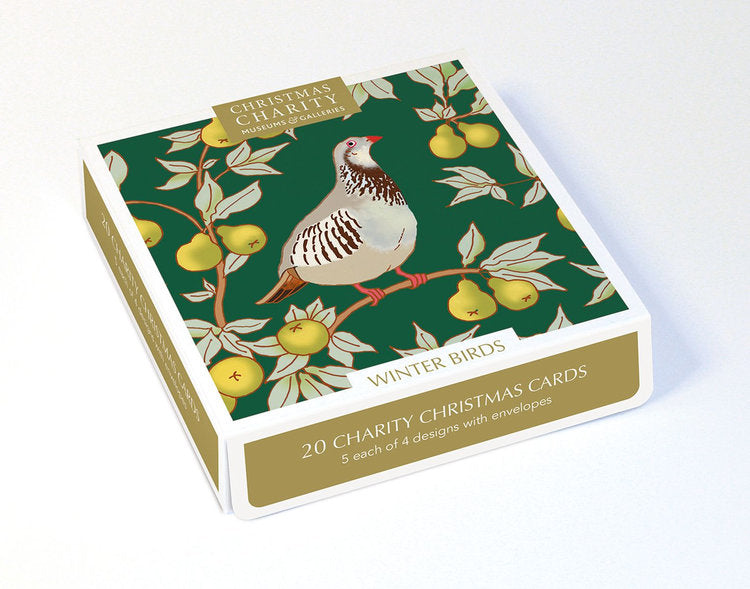 Museums And Galleries - Winter Birds X20