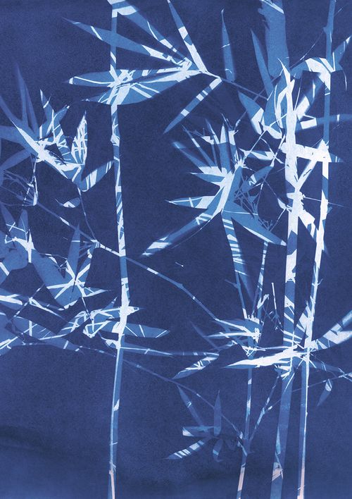 Jo de Pear - Bamboo