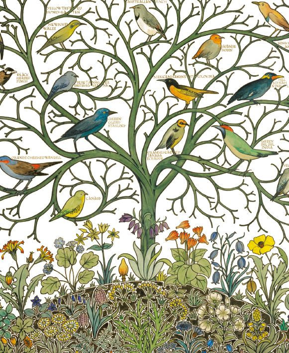 Museums and Galleries - Birds of many climes